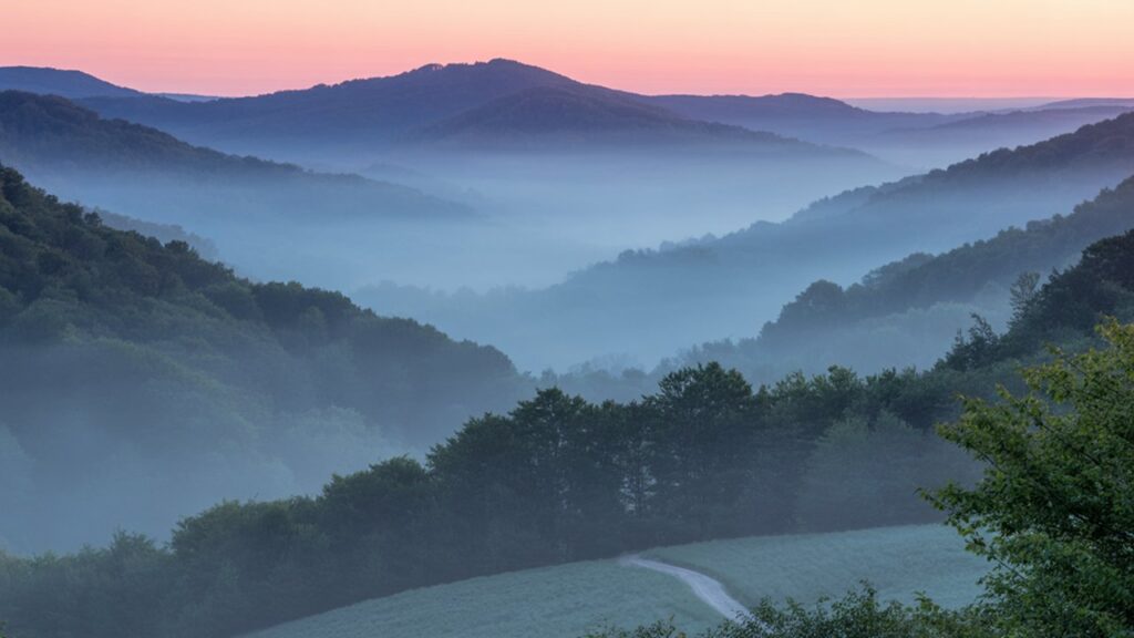 Blue Mountain Recordings Blue Mountain Recordings